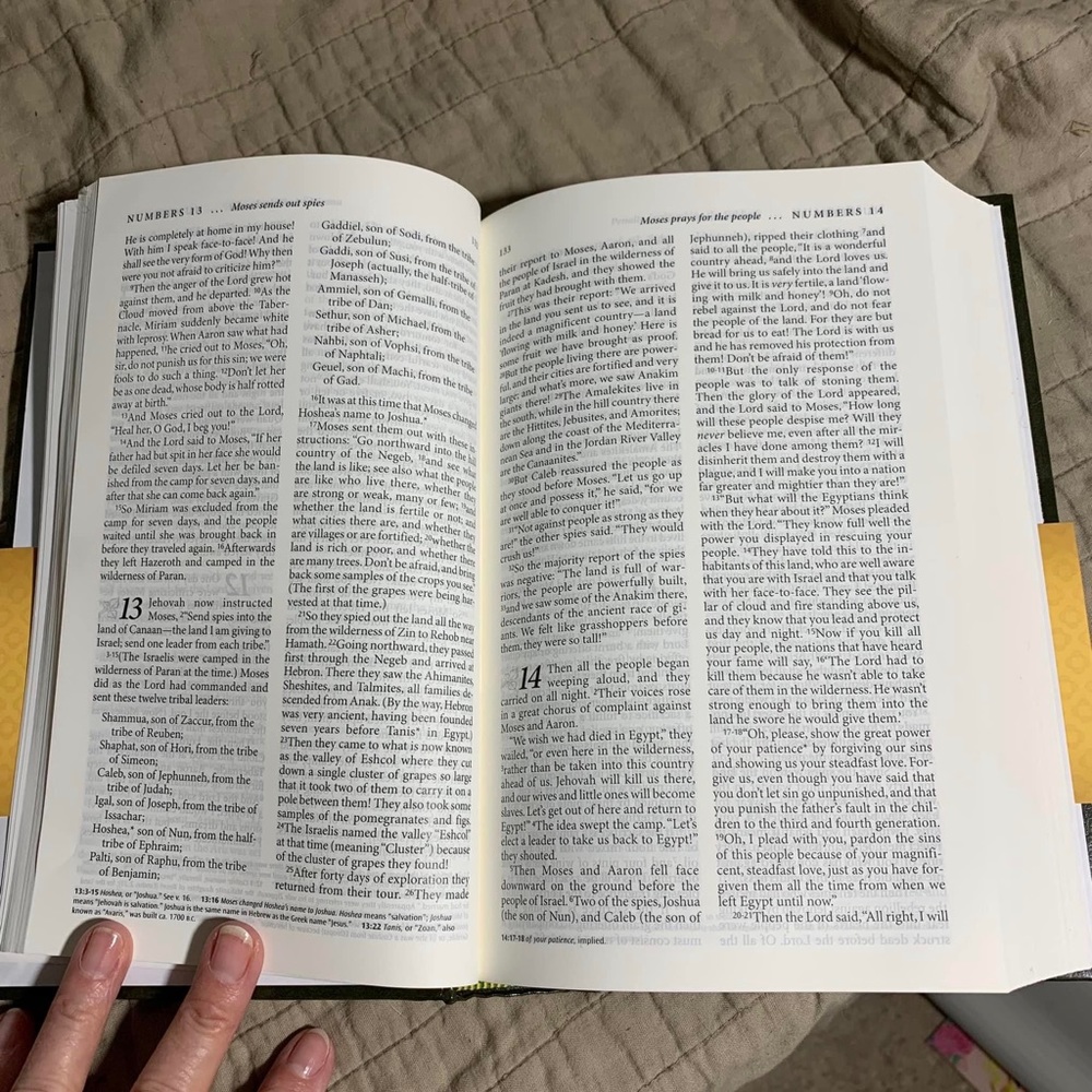 New The Living Bible is a paraphrase of the Old and New Testaments. - Picture 3 of 4